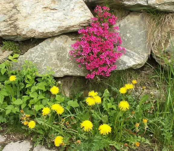 Schuistlhof * 실리안