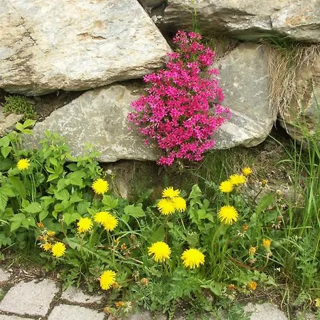 Schuistlhof * Sillian