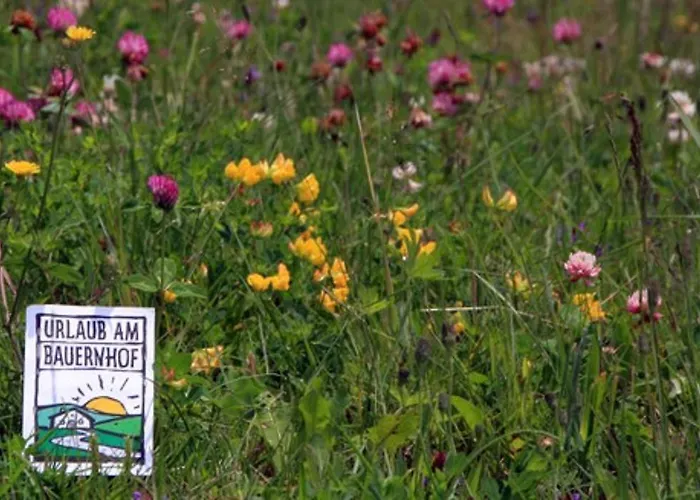 Schuistlhof مزرعة للإقامة سيليان